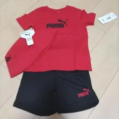 新品　PUMA 3点セット Tシャツ・ショートパンツ・バケットハット 2T　90