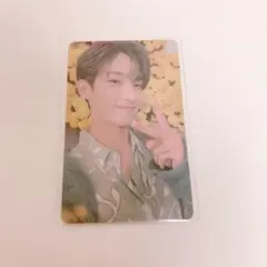 SEVENTEEN ドギョム トレカ your choice soundwave