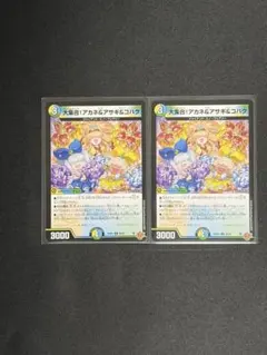 大集合！アカネ&アサギ&コハク