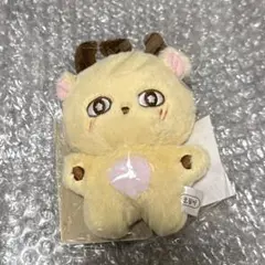 パクジフン 日本公式ファンクラブ 限定トレカ Amazon.co.jp: パクジフン Parkjihoon 日本 FC トレカ 限定 会報