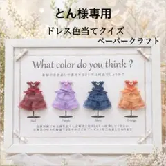 とん様専用 ①②ドレス色当てクイズ ドレス当てクイズ 投票BOX ボックス