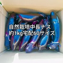 自然栽培ナス　約1kg　宅配60サイズのサムネイル