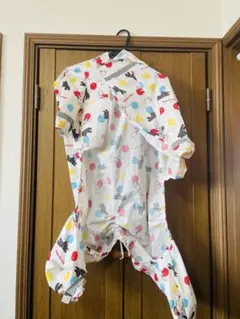 Item thumbnail for item 918084e5-fd4b-409e-a196-2392383a3b3b