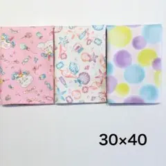 Item thumbnail for item 6f084c17-f4bf-40a9-9741-44f3025c56d1