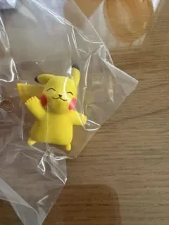 ピカチュウ&パチリス　カプセルトイ『シンオウいっぱいコレクション』