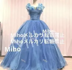 2026年最新】シンデレラ 実写 ウィッグの人気アイテム - メルカリ