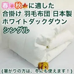 羽毛布団 シングル 抗菌防臭羽毛 きなり 150×210cm 日本製 特別 - メルカリ