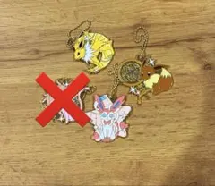 ポケモン一番くじ ブイズ メタルチャーム スターライトナイト