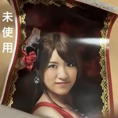 岡田紗佳 等身大ポスター エンタメ 役満ボディー - メルカリ