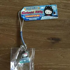 2026年最新】海ほたる限定 キティの人気アイテム - メルカリ