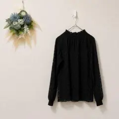 セシルマクビー 総レース ハイネックブラウス F 黒 長袖 きれいめ 花柄のサムネイル