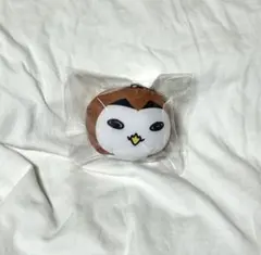 ハイキュー トレーディング動物ミニビーズクッション