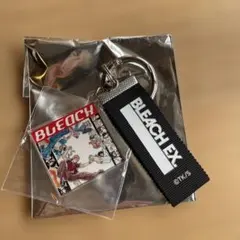 BLEACH EX .原画展　集合オリジナルレコードジャケットキーチェーン　匿名