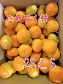 鹿児島県産すもも（イグリ）2,5キロ - メルカリ