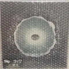 ガイア【生産限定盤】【PlayPassPAK（DLカード）+GOODS】Siip