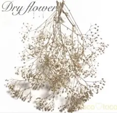 ちほ (プロフ必読)様 リクエスト 3点 まとめ商品