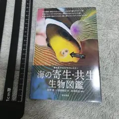 Item thumbnail for item d9cd60bb-cfd0-4639-8b4f-f8c6bbf65d6c