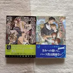 ＢＬ文庫 ２冊セット