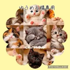 【3月】ゆうめる様専用