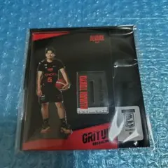 アルバルク東京 福澤晃平 アクスタ