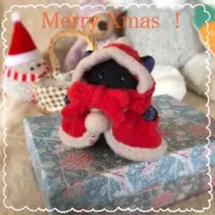 ⭐︎お値下げしました⭐︎【クリスマスイベントdoll✨】ちいさな黒猫サンタぬいぐるみ