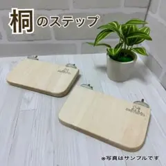 Item thumbnail for item d9ec3646-f30f-4a0f-844b-7de911b991b2