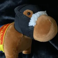 アーモンドアイ(第40回ジャパンカップ) 「サラブレッドコレクション」