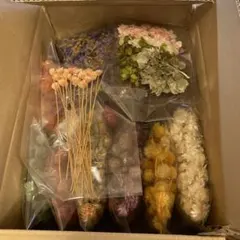 【激安まとめ売り】ドライフラワー 自然素材 花材 ダンボール箱いっぱい