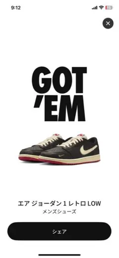 Nike Air Jordan 1 Low Nigel Sylvester