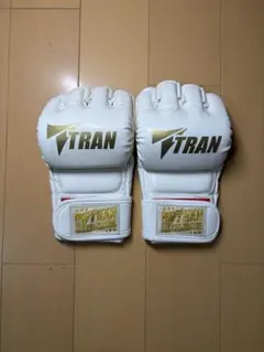 Item thumbnail for item c929385e-157d-42ba-9413-e914da2cb61a