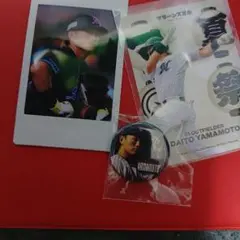 2025年最新】千葉ロッテ チェキの人気アイテム - メルカリ