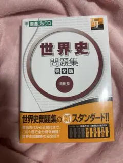 東進　スタンダード世界史 UF94-124 東進 スタンダード世界史B 1/2 通年セット 2006 第1