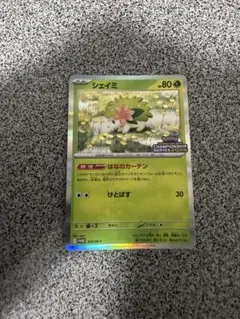 ポケモンカード シェイミ CL プロモ チャンピオンシップ 2026 - メルカリ