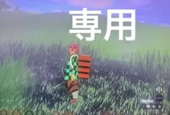 専用