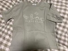 恐竜柄★半袖Tシャツ★未使用★ペアマノンのサムネイル
