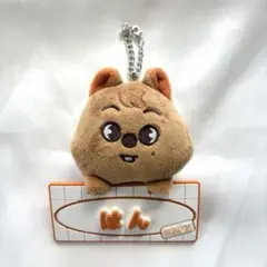 StrayKids スキズ skzoo ネームバッジ ハンクォッカ