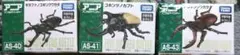 アニア　甲虫3点&カード20枚セット
