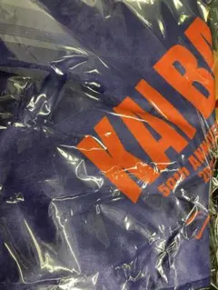 甲斐バンド　VIP特典　豊洲PITIN