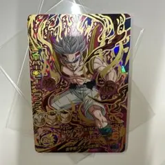 スーパーベビー:トランクス HGD6-56 BCP