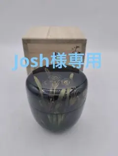 Item thumbnail for item 6b134166-94ac-42ff-a160-cd157d1fd696