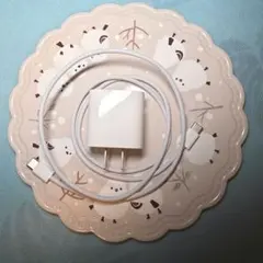 Apple 20W USB-C充電器とケーブルセット