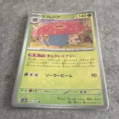 2026年最新】ラフレシアの人気アイテム - メルカリ