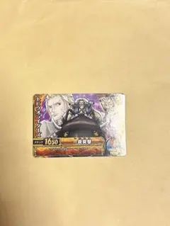 ワンピーベリーマッチダブル トビウオライダーズ CA028-W R