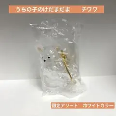 うちの子のけだまだま チワワ ホワイト 犬 毛 キーホルダー ペテモ限定アソート