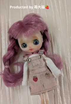 2026年最新】カスタムプチブライスの人気アイテム - メルカリ