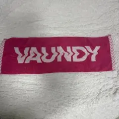 Vaundy ロゴ フェイスタオル　ピンクのサムネイル