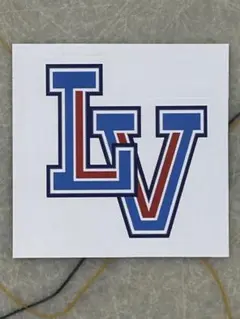 Louis Vuitton ルイヴィトン ノベルティ 非売品 ステッカー LV