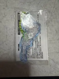 琵琶湖キーホルダー 琵琶湖バレイ