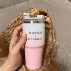 Starbucks スタンレー完売品　最安値