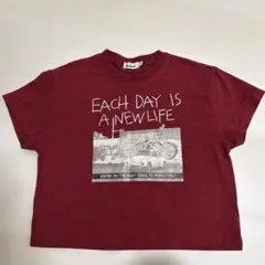 PAIRMANON バーガンディ グラフィックTシャツ 90
